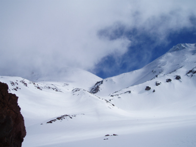 shasta_pic