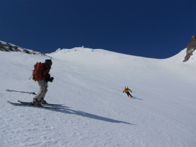 shasta_pic