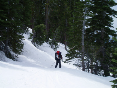 shasta_pic