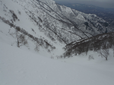 ���t�J�������̂�������