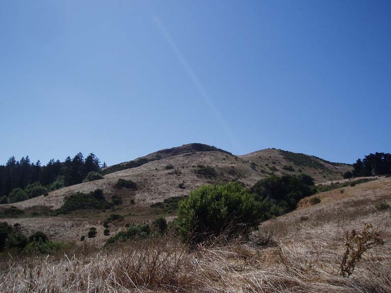 Windy Hill�ō��_